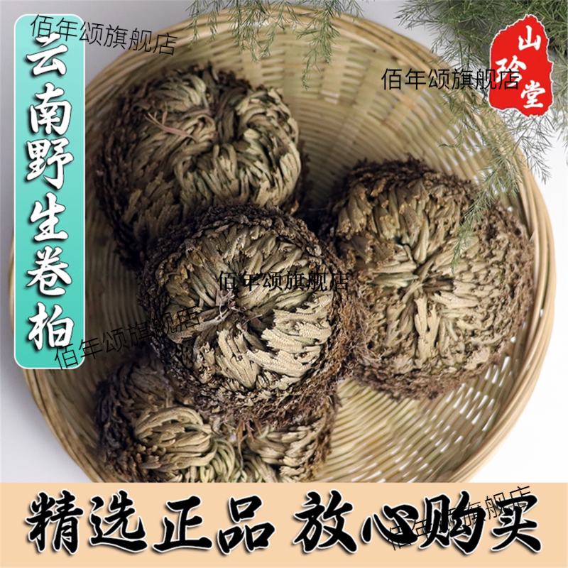 卷柏材云南纯天然九死还