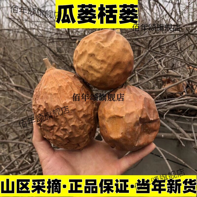 野生全瓜蒌栝天撤苦山金匏