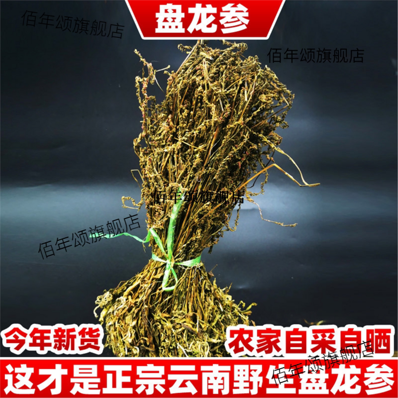 云南野生盘龙参猪鞭草抱