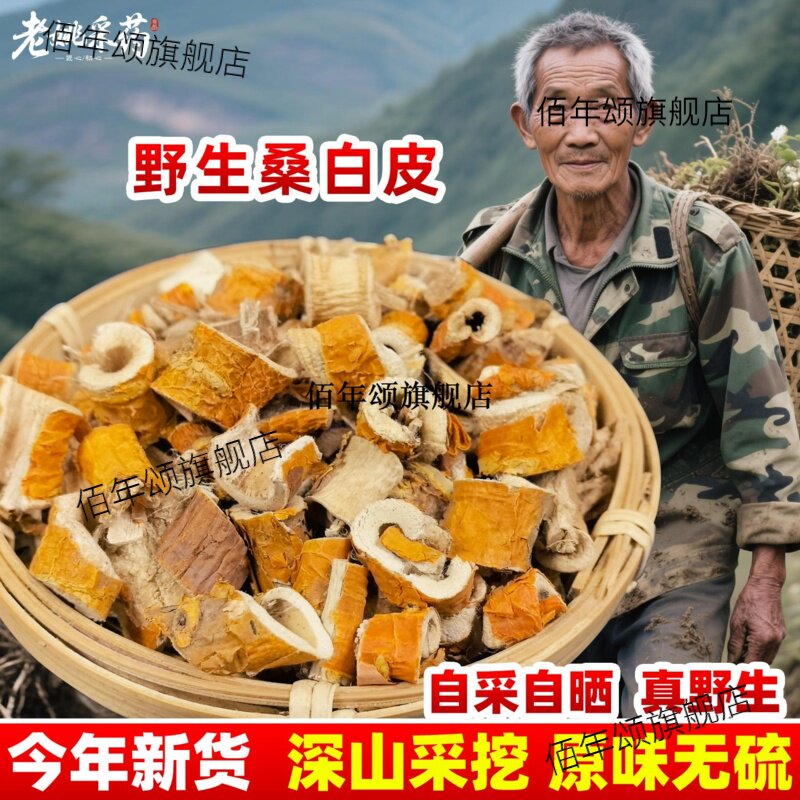 云南野生材桑白皮新货树
