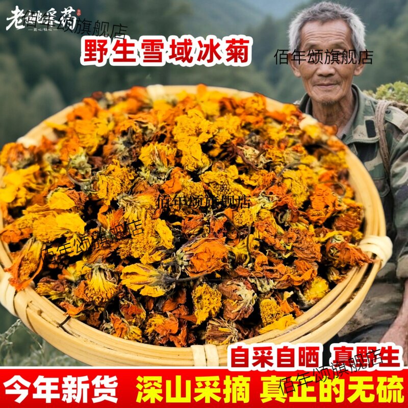 雪域冰菊西高原山海拔天