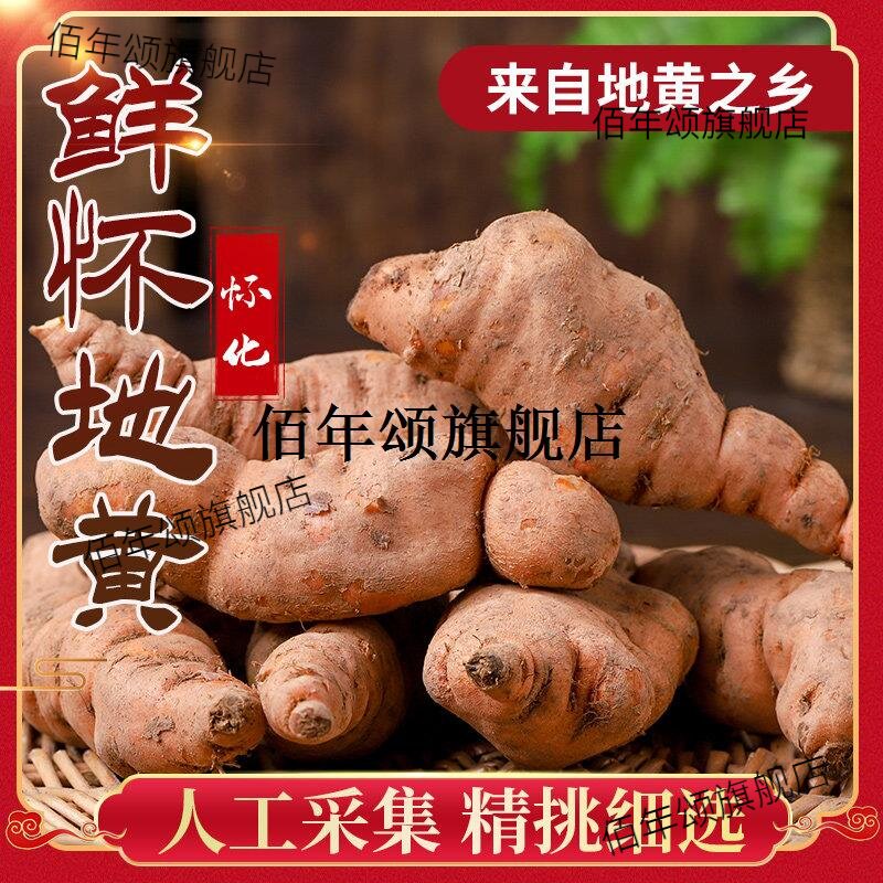 焦作原产地当季新鲜生地黄
