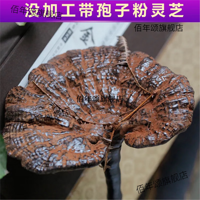 野生半野生紫灵芝片不苦带孢子粉