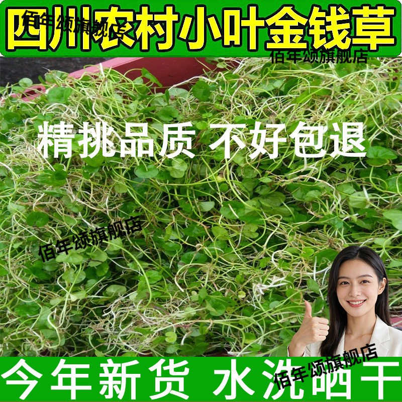 四川小叶金钱草茶中药材包邮