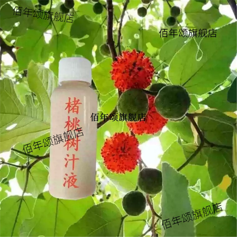 构树汁液牛皮树癣树假梅子角阔枸谷树汁四川大山老构树汁楮桃树汁