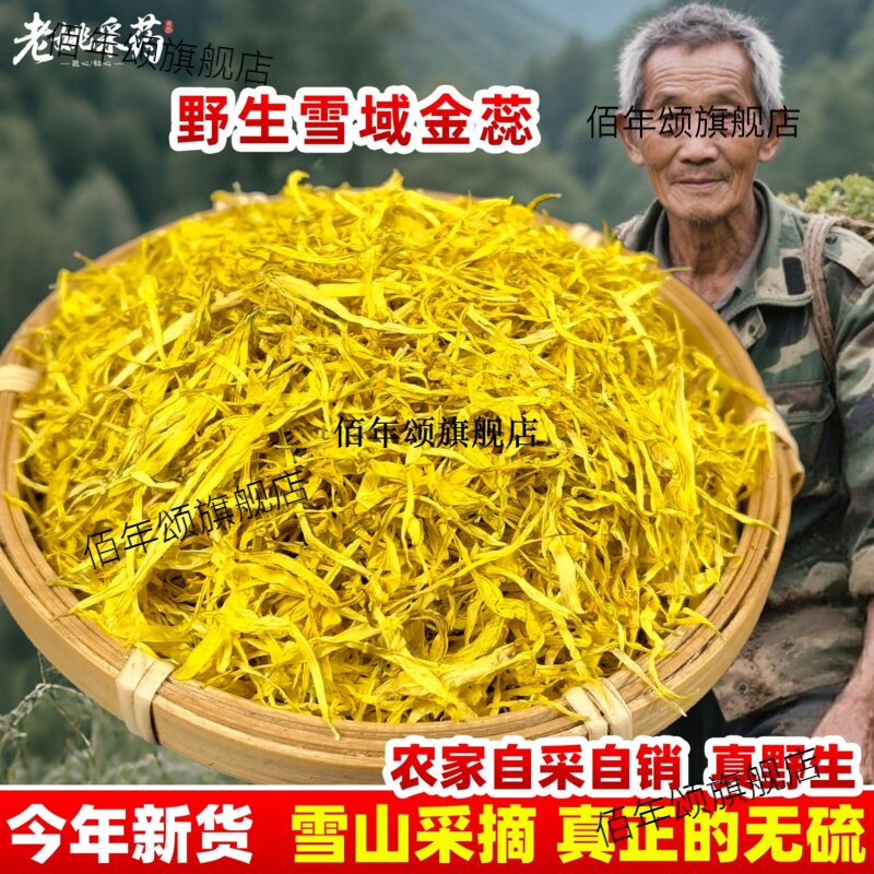 雪域金蕊藏丝地拉姆皇菊