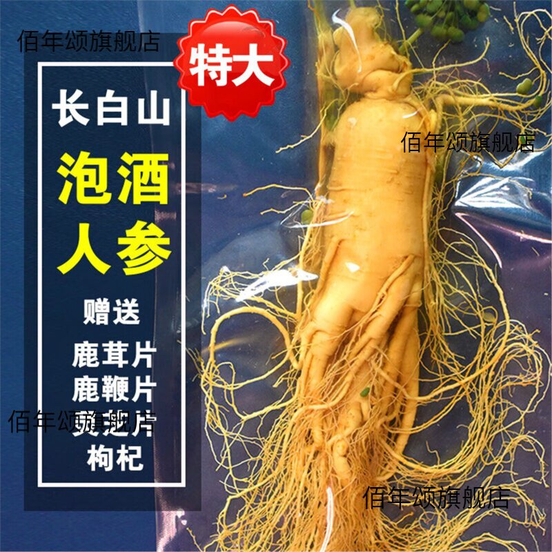 特大人参单支东北长白山鲜人参一斤非野山参人参泡酒专用