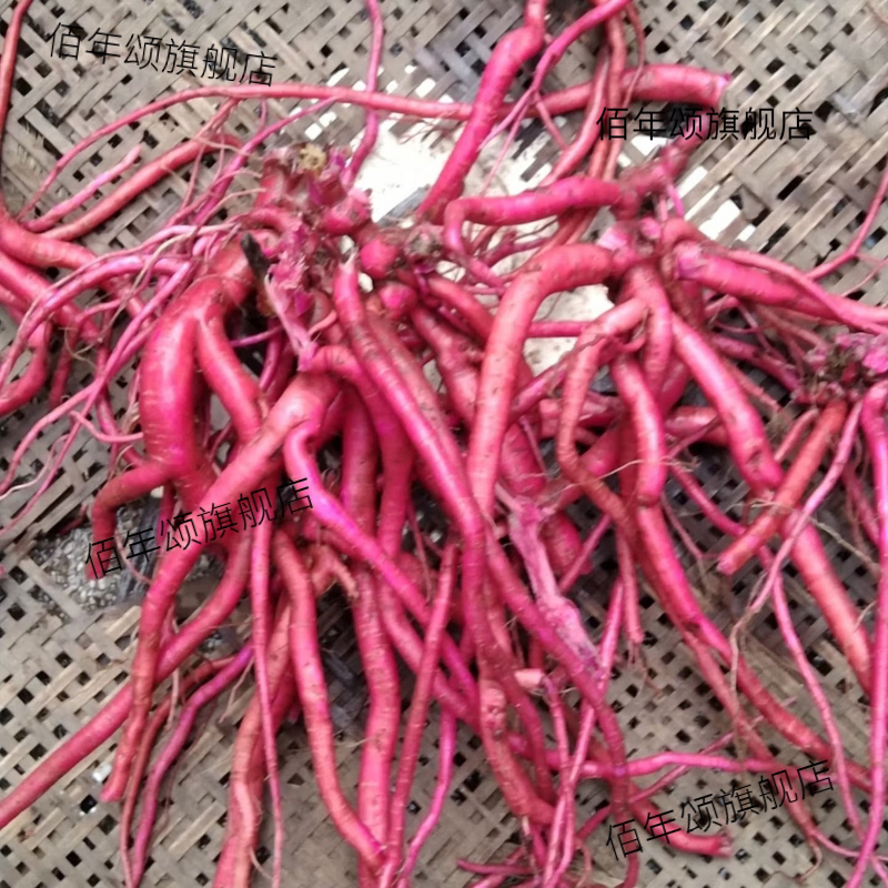 新鲜红牛膝倒扣草500g药用