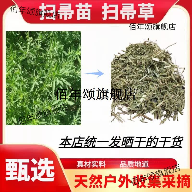 吾家余堂扫帚苗全草材地肤