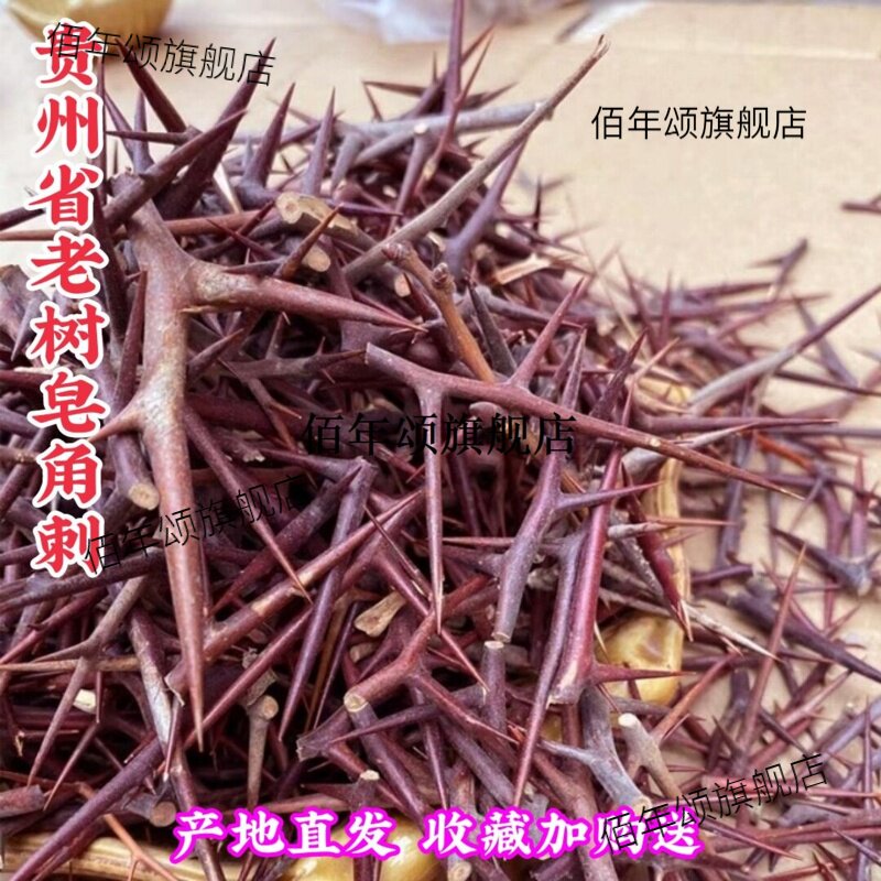 贵州省野生皂角刺下单纳
