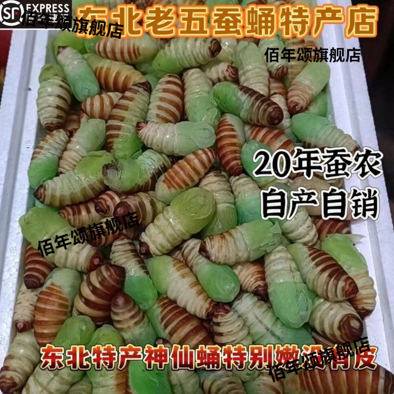 东北特产鲜冻薄皮柞蚕蛹顺丰