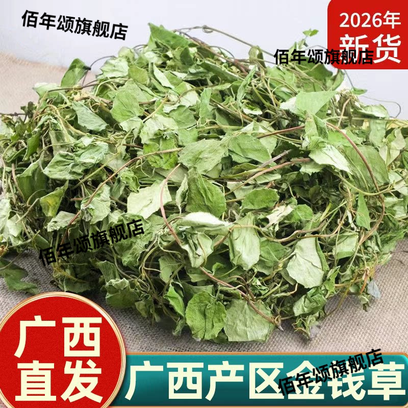 广西直发正宗广金钱草大叶干货