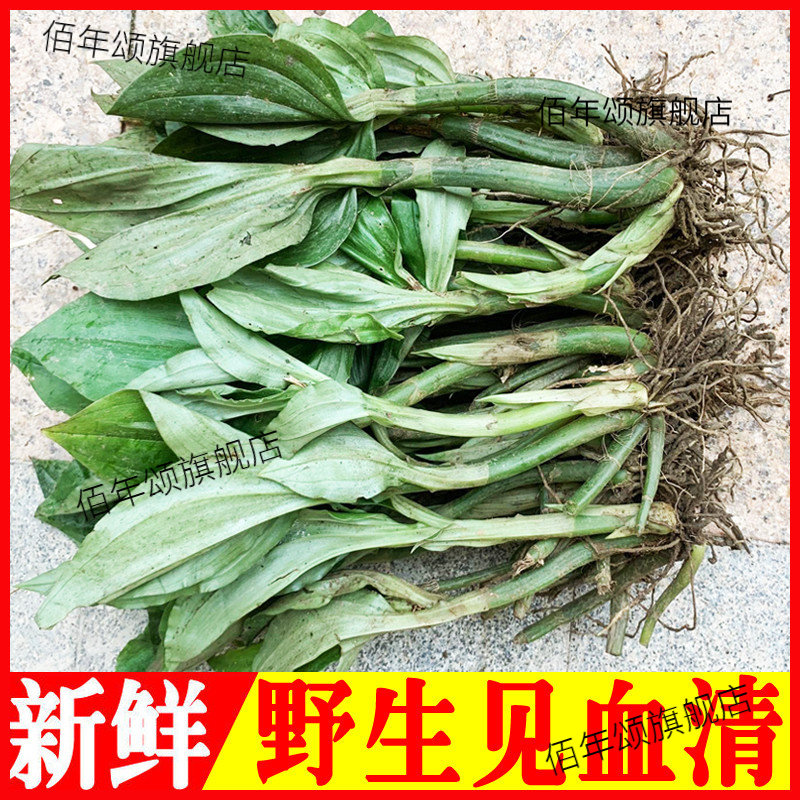 新鲜见血清野生中草药云南