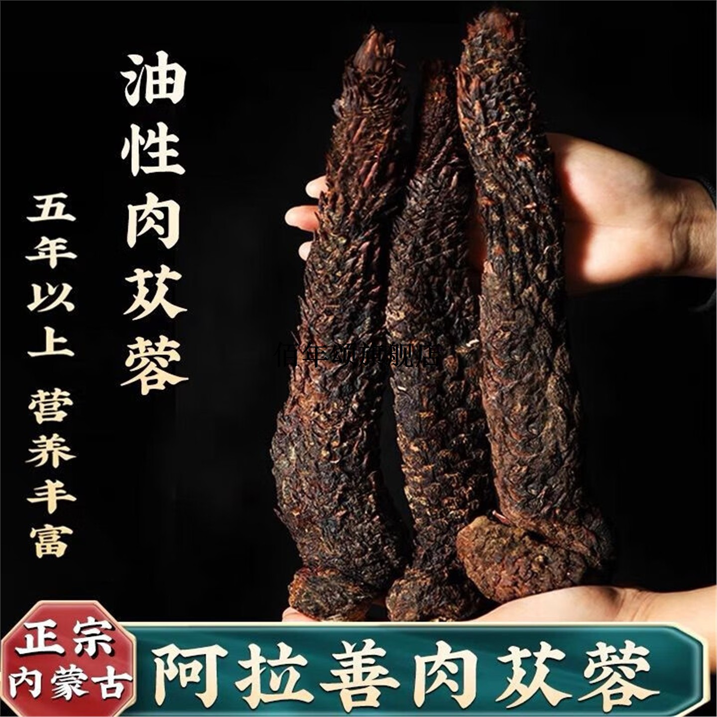 内蒙古阿拉善肉苁蓉整根特