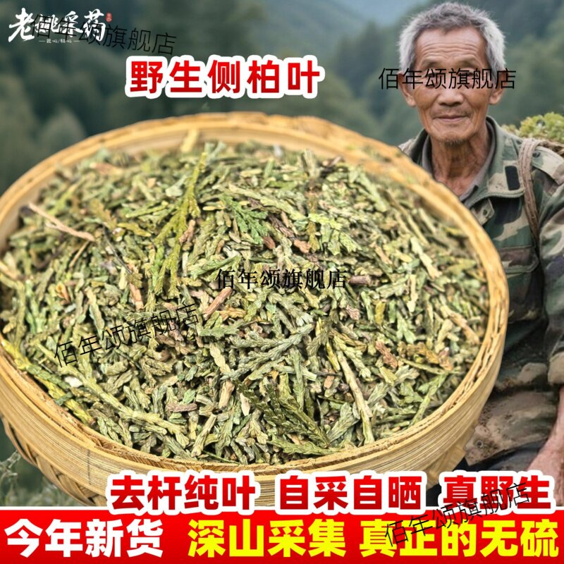云南材野生侧柏叶伯粉扁新