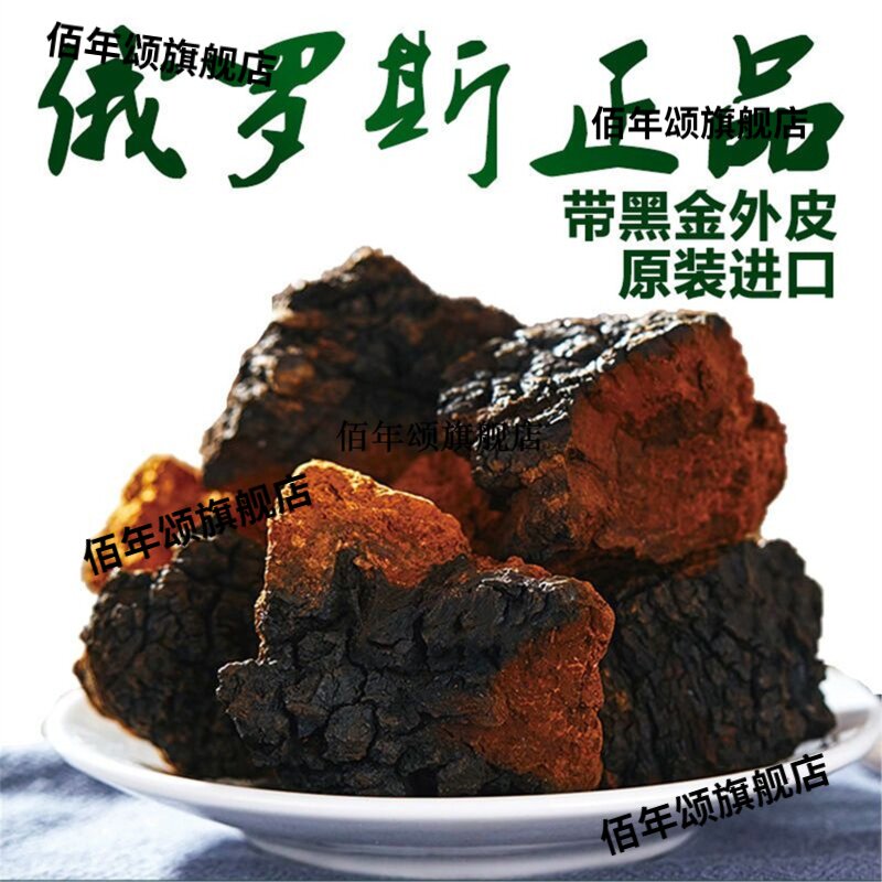 正宗俄罗斯桦树茸泪野生三