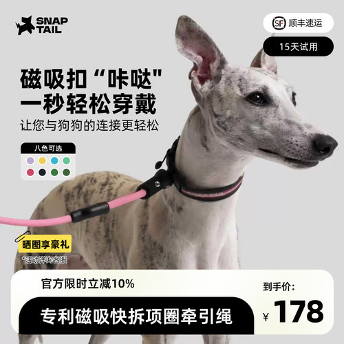 光影闪扣快拆磁吸防水猫狗项圈
