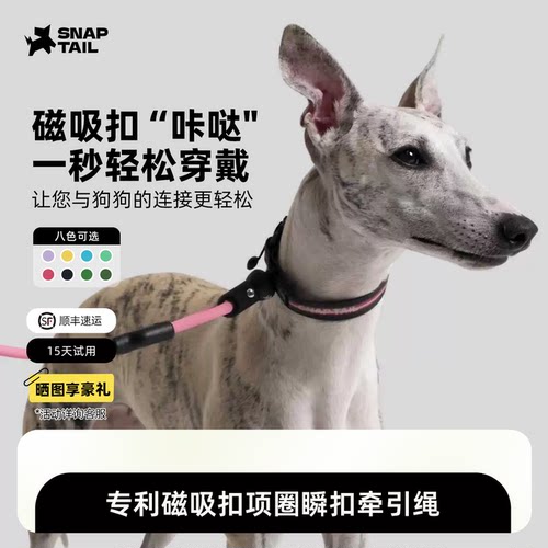 光影闪扣快拆磁吸防水猫狗项圈