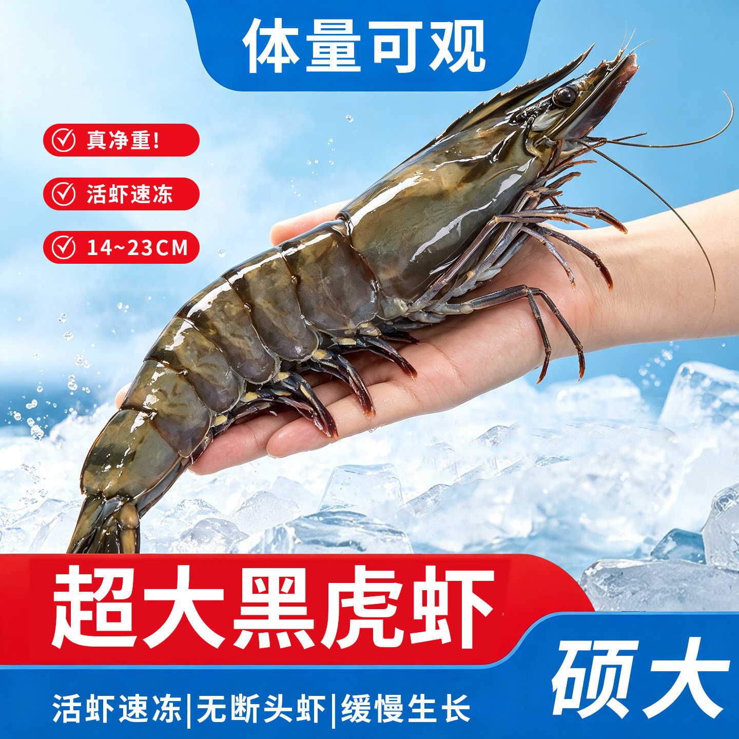 无冰净重海捕活冻全国多仓发货