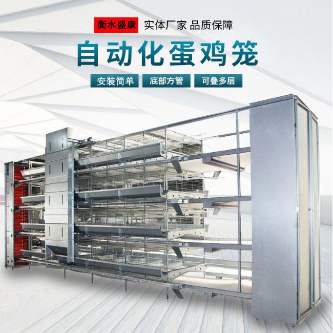 鸡笼蛋鸡笼养殖机械设备阶梯式养殖场厂大层叠蛋鸡鸡用雏鸡