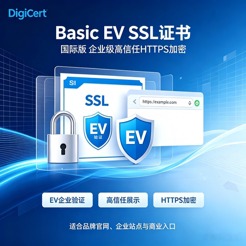 DigiCertBasic EV SSL证书国际版企业核验浏览器绿标官网加密证书