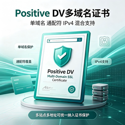 Positive DV多域名SSL证书域名通配符IPv4混合建站HTTPS加密TLS