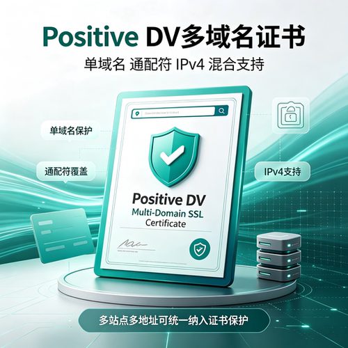 Positive DV多域名SSL证书域名通配符IPv4混合建站HTTPS加密TLS