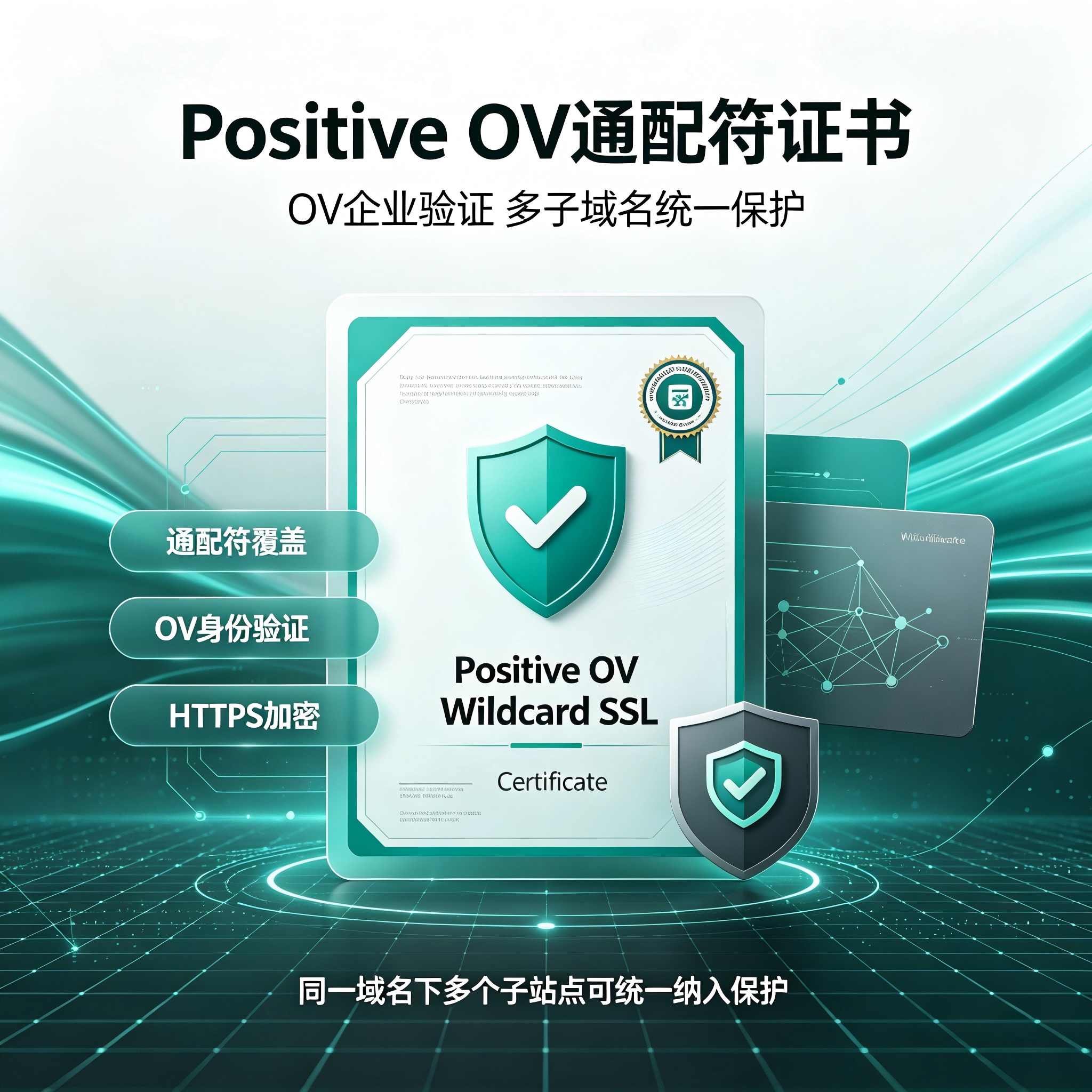 Positive OV通配符SSL证书企业认证全子域名全站HTTPS加密安全TLS