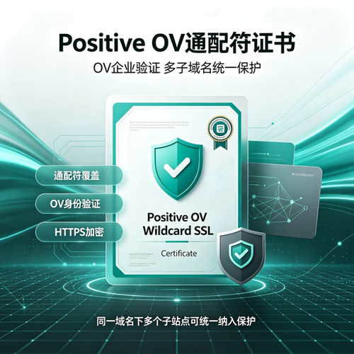 Positive OV通配符SSL证书企业认证全子域名全站HTTPS加密安全TLS