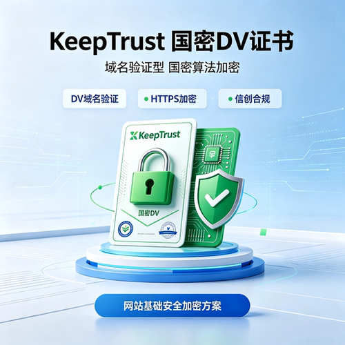 KeepTrust国密DV SSL证书域名证网站加密HTTPS信创服务器安全证书