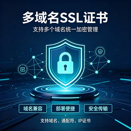 DV多域名SSL证书支持域名通配符IPv4混合部署网站HTTPS加密安装认