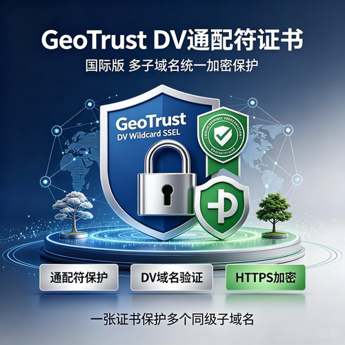 GeoTrust DV通配符国际SSL证书多子域名网站HTTPS加密TLS安全证书