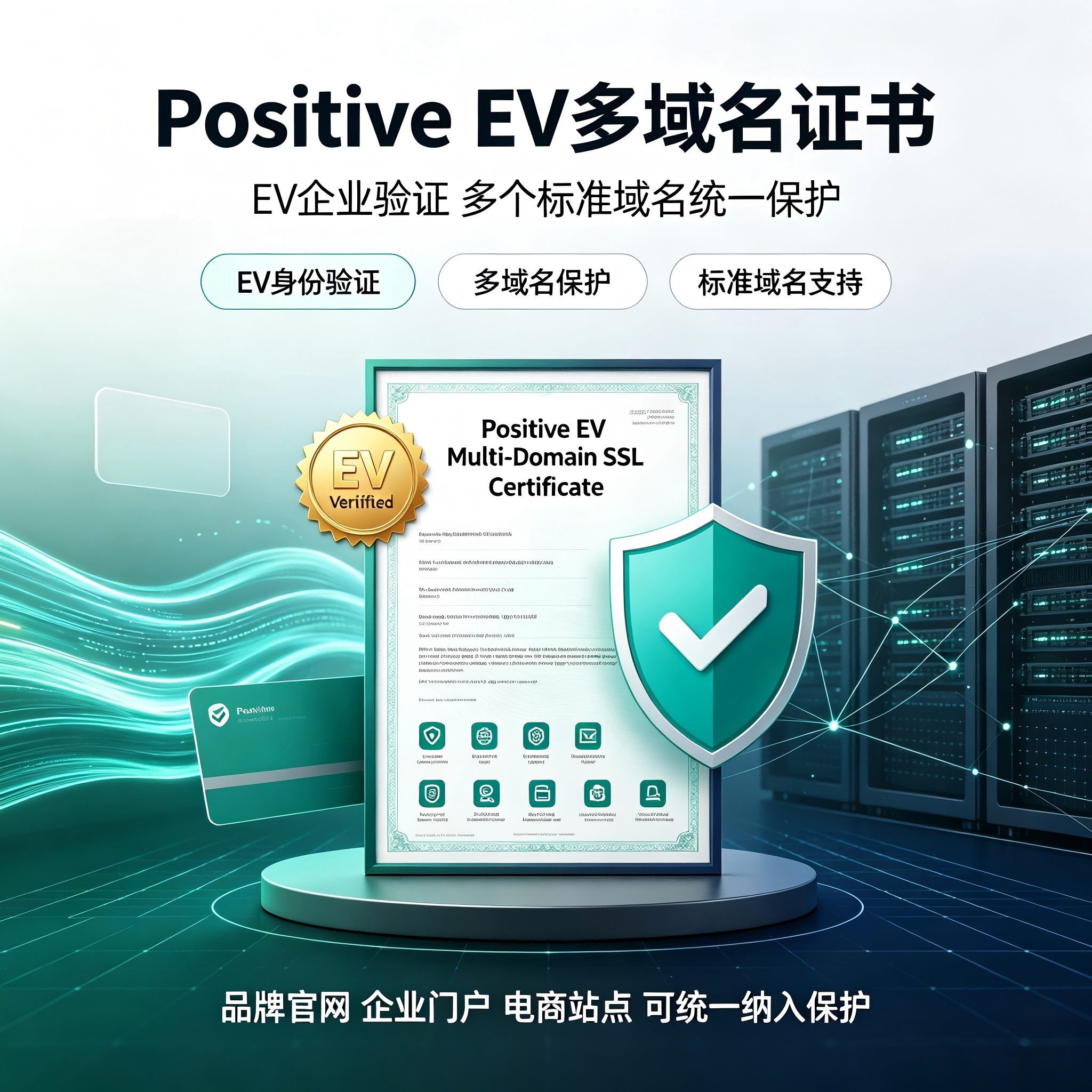 Positive EV多域名SSL证书高端企业认证标准域名官网HTTPSTLS加密