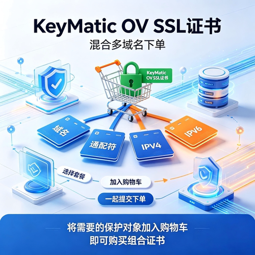 KeyMatic OV企业SSL证书域名通配符IPv4v6多站点HTTPS安全加密tls