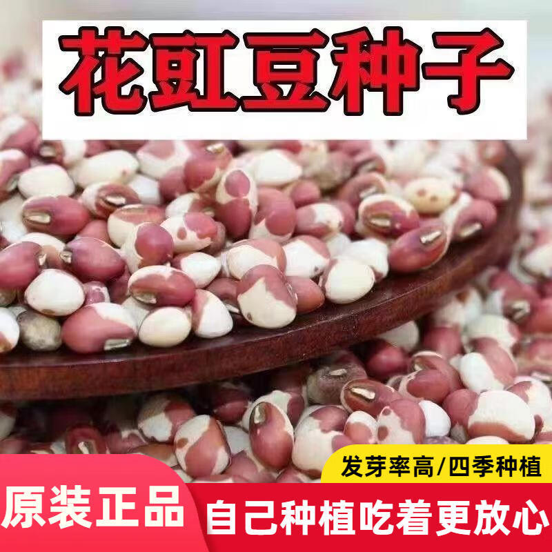 养生花豇豆种子高产早熟蔬菜种子大全春季菜种子
