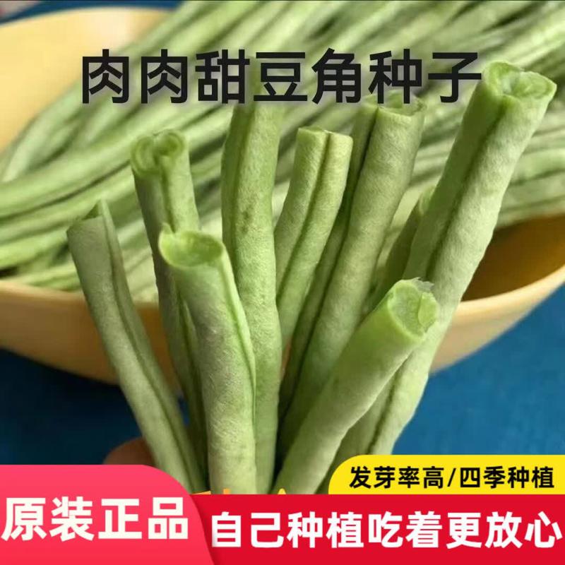 超好吃肉肉甜豆角种子大肉糯米长豆角秋播长豇豆易种蔬菜种子