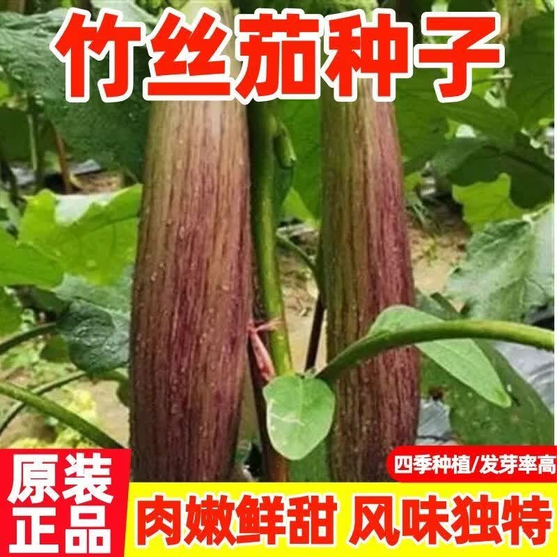 【热卖中】面包茄子种籽东北花长茄种子春秋阳台四季播蔬菜种孑