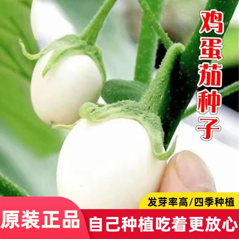 鸡蛋茄种籽高产白茄子种子白蛋鸡蛋茄子苗盆栽农家白色蔬菜籽