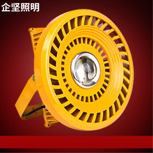 厂家批发LED投光灯 加油站灯 煤矿灯 仓库井灯 20W30W50W100W