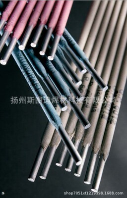Thermanit JEW 308L-17不锈钢焊条