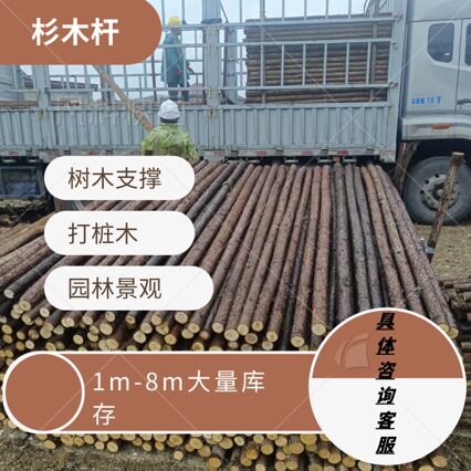 批发杉木杆树木支撑杆园林绿杆杉木棍河道打桩木源头产地发货
