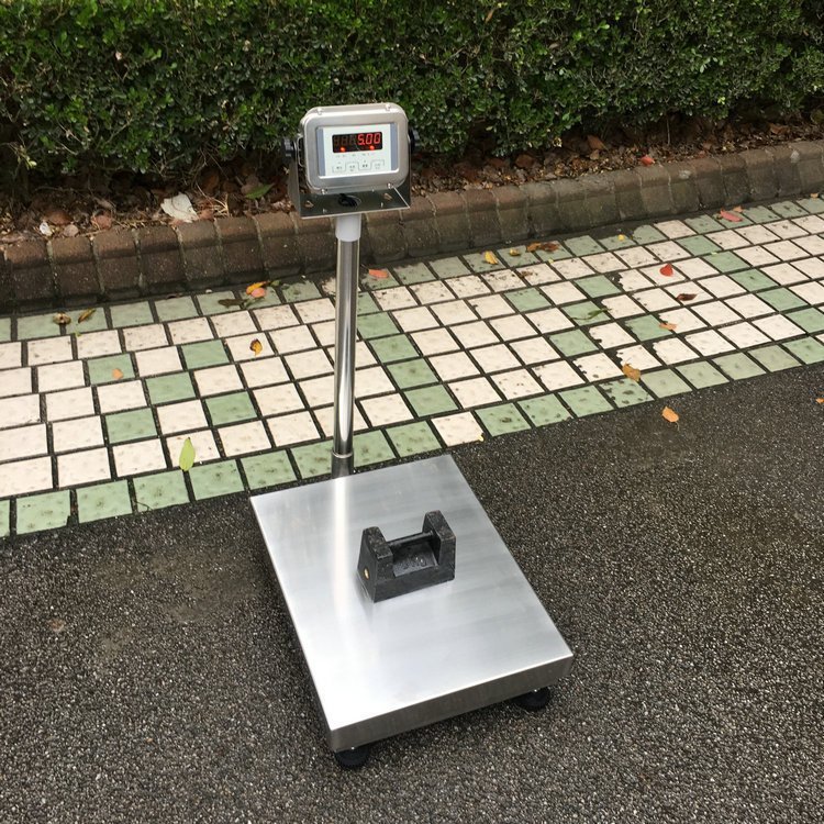 食品厂不锈钢304电子秤100kg防水计重台秤200公斤移动打印落地秤