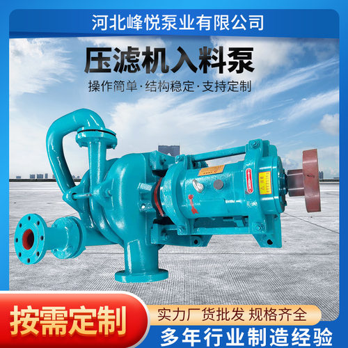 压滤机入料泵泥浆泵50ZJW-65SYA80ZJE100ZJW泥浆进料泵渣浆泵