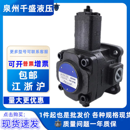 VB1-20FA3叶片泵VD1 VE1 VB1 VA1- 30F 40F 20F 15F 12F-A1 A2 A3