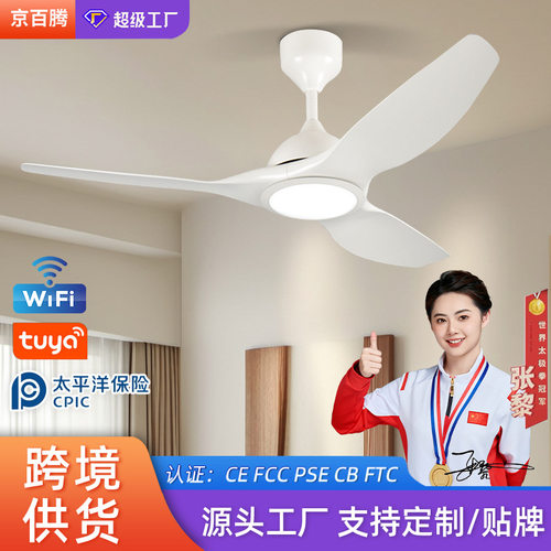 风扇灯客厅大尺寸现代简约风扇吊灯智能变频风扇灯餐厅极简风跨境