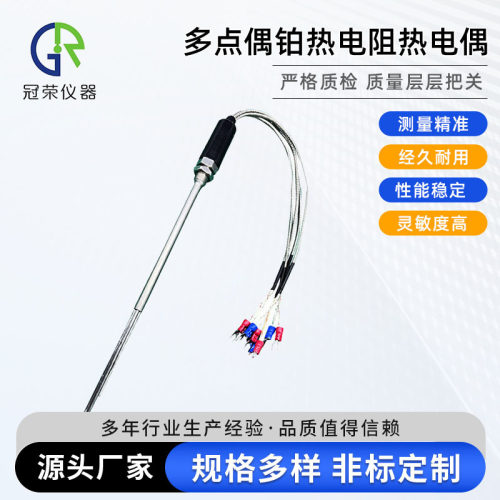 多点偶铂热电阻热电偶WZPK/L1 L2 L3 WRKK/L1 L2 L3 L4