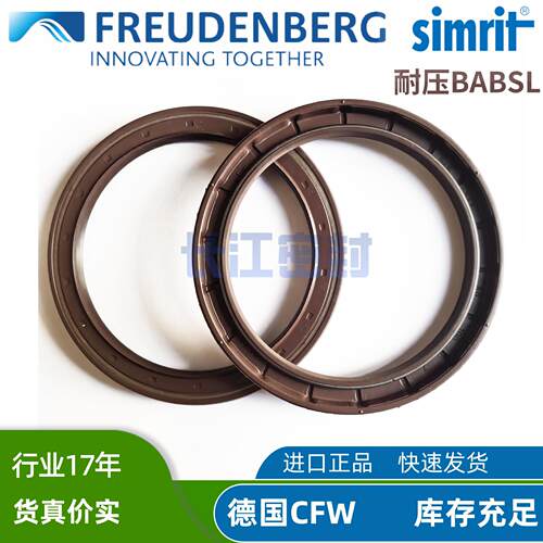 德国CFW氟胶高压油封BAB5  SL0.8  110-130-12 原装正品