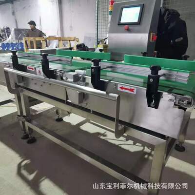 在线称重检测机 食品包装流水 线重量自动复检秤分检农贸秤分拣秤