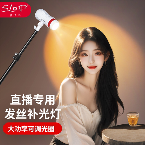 摄力派发丝补光灯氛围感直播必备