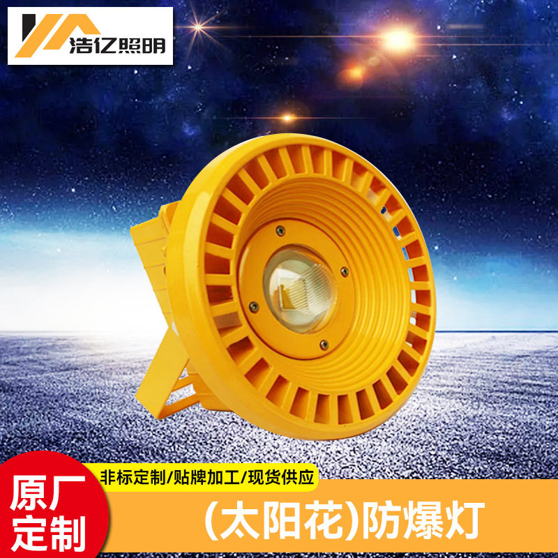 LED圆形防爆灯 投光灯50W200W泛光灯 加油站石油车间化工厂防爆灯图片